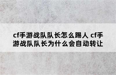 cf手游战队队长怎么踢人 cf手游战队队长为什么会自动转让